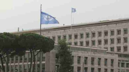 La FAO busca alternativas para garantizar la alimentación ante el cambio climático