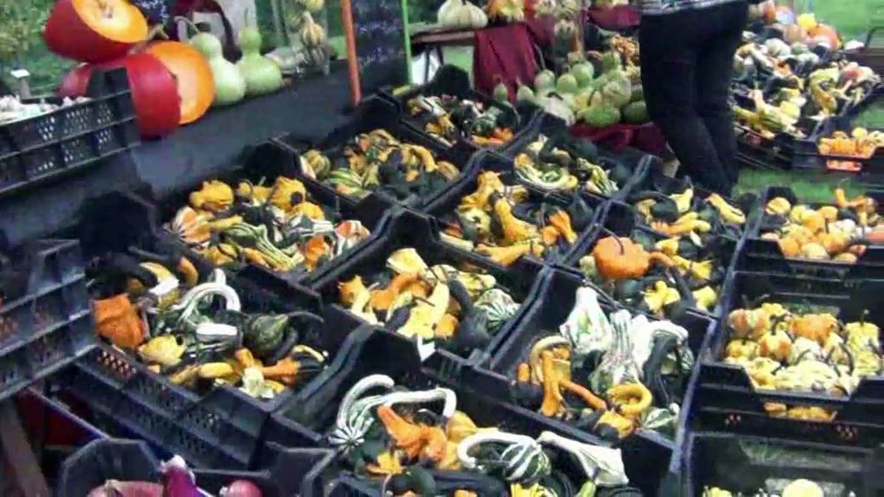 Fête de la Courge 2016