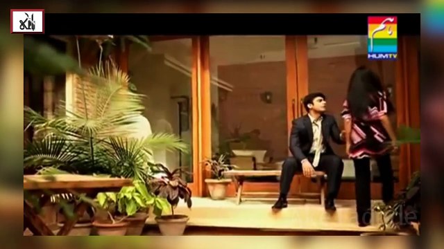 What are the insides about Indian extremist and Pakistani Artists