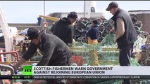 'Whole world of new possibilities' Scottish fishermen support Brexit, warn govt against rejoining EU