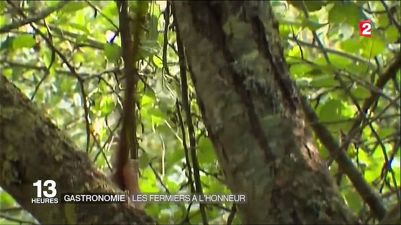 Pari Fermier : le salon qui met les fermiers à l'honneur