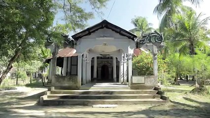 O homem que plantou árvores durante 37 anos