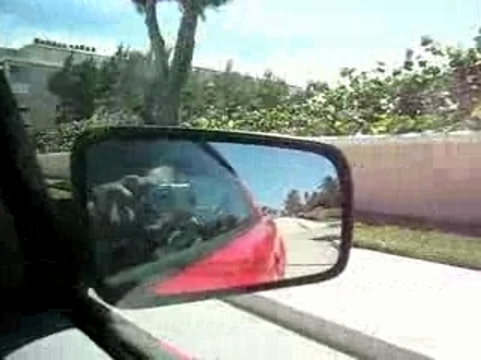 Palm beach en mustang
