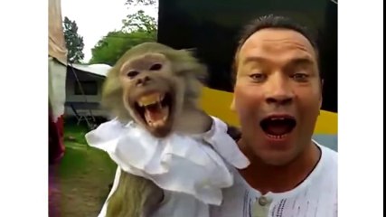 10 of the MOST VIRAL FUNNY VIDEOS 2016 - WhatsApp - Funny Pranks - Funny Videos 2016 - YouTube