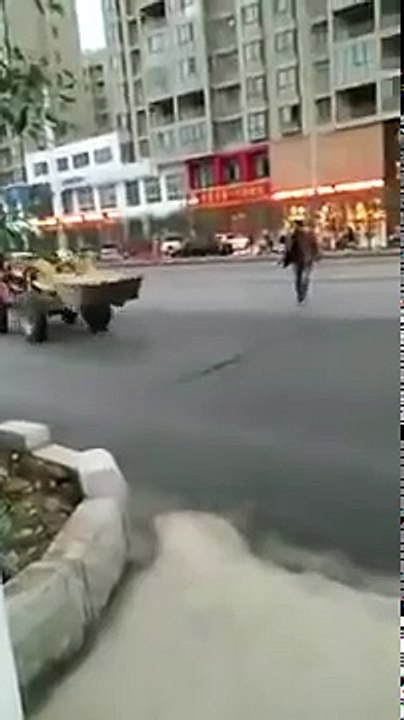 A crazy bulldozer without drivers in the street - Funny