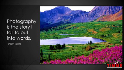 Nature Art Photo Gallery