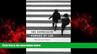 FREE DOWNLOAD  The Expressive Powers of Law: Theories and Limits  BOOK ONLINE
