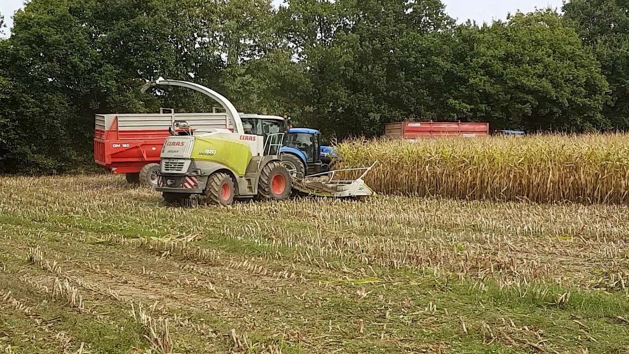 Ensilage ereac claas jaguar 970 12 rangs !!!! Best sound ever !!!!
