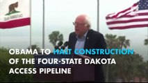 Bernie Sanders asks Obama to halt pipeline for full review