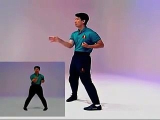 Vịnh Xuân Quyền Cơ Bản