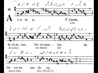 Alleluia Lauda Jerusalem, Dominica XXX TpA (30 TO)