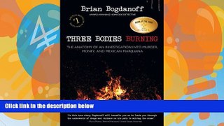 Big Deals  Three Bodies Burning: The Anatomy of an Investigation into Murder, Money, and Mexican