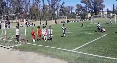 Lo que hizo este niño dejó a todos sorprendidos