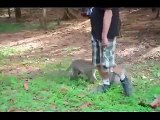 Amazing Monkey Meeting with Tourist Girl Videos 2016