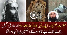 Emotional Story of Eisa A.S and A Lion Maulana Tariq Jameel Bayyan 2016