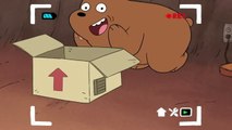 Grizzly e la scatola | We Bare Bears | Cartoon Network