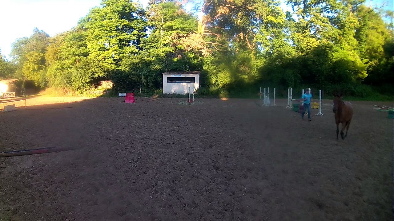 Belle Dame de Giez - Longues rênes virtuelles