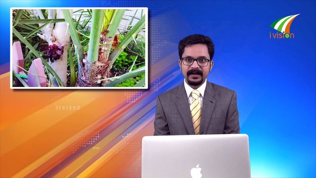 Ivision Malayalam Global Pravasi News15 14th October 2016 ഐവിഷൻ ഗ്ലോബൽ മലയാളം പ്രവാസി വാർത്ത‍