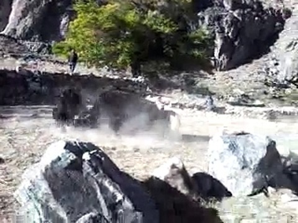 Yak fighting 5