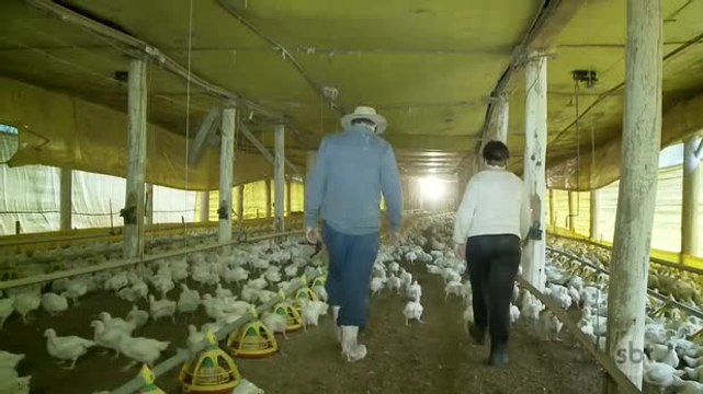 Donos de propriedades rurais tentam convencer filhos a assumir negócios da família