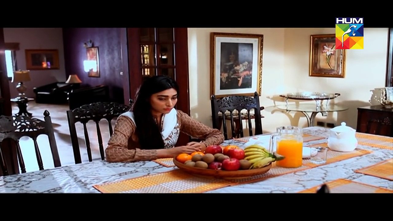 Hatheli Episode 3 Full HD HUM TV Drama 4 October 2016