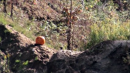 What Happens When You Put An Explosive Target In A Pumpkin