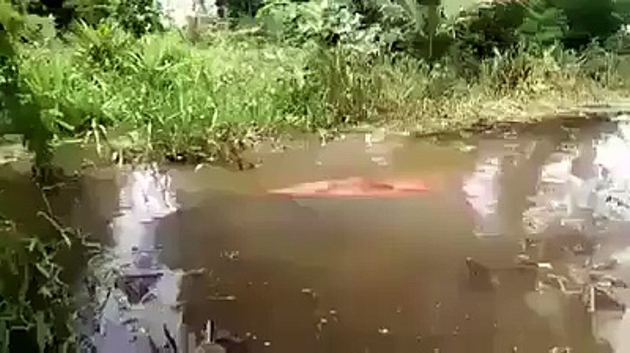 Laughing funny 47