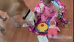 Funny Videos Dogs And Babies Playing together   Baby Dogs Funny Video