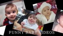 Funny Videos Dogs And Babies Playing Together   Funny Dogs And Babies Videos Compilation