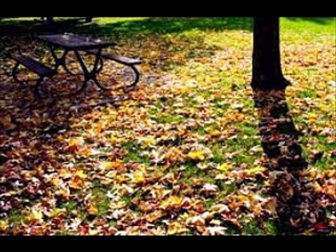 男性編 もう森へなんか行かない 【青春は過ぎ去りて】 Ma jeunesse fout l'camp (フランソワーズ・アルディ) シャンソン / 訳詞初稿 Sima