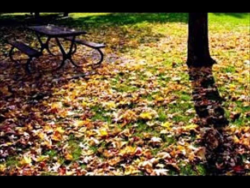 男性編 もう森へなんか行かない 【青春は過ぎ去りて】 Ma jeunesse fout l'camp (フランソワーズ・アルディ) シャンソン / 訳詞初稿 Sima