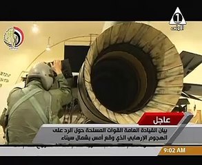 القوات الجوية توجه ضربات مركزة لمناطق إيواء عناصر تكفيرية فى سيناء