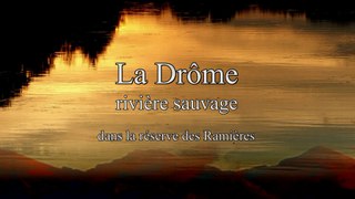La Drôme, riviere sauvage dans la réserve des Ramières