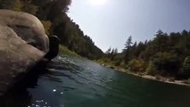Köpek su altında dalışı