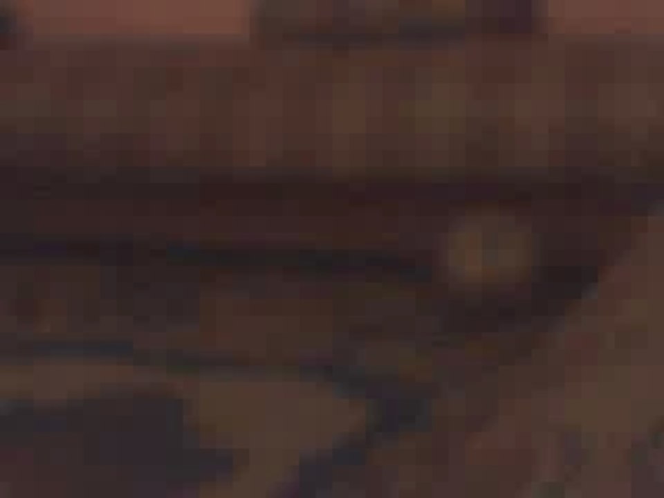 Webcam 1187316429906