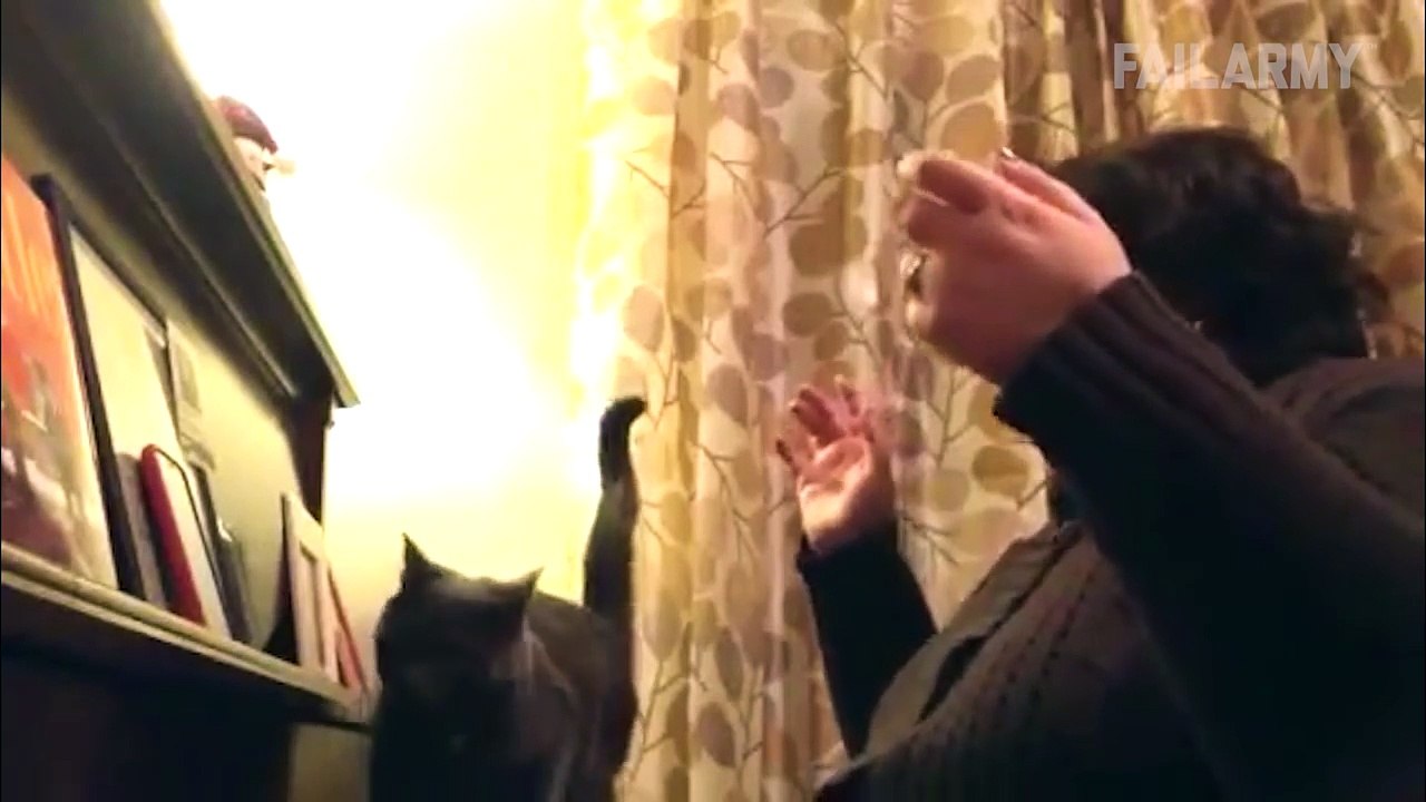Funny Cat Fails Compilation || by FailArmy 2016