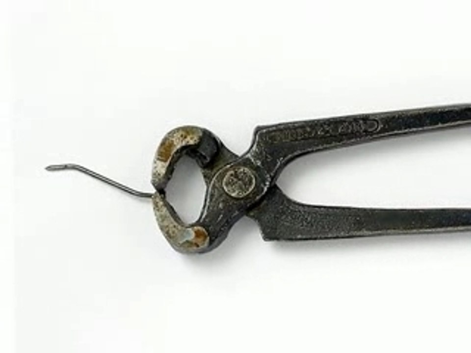Nägel