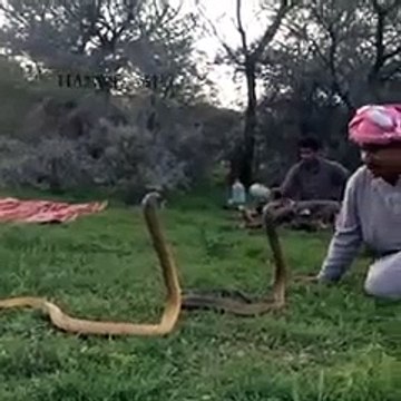 Pashto New Funny 2016 Pashto songs, Pashto New Songs, Pashto Funny Videos, Pashto Rabab Mange,