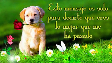 buenos dias AMOR