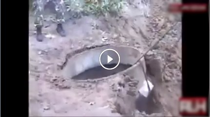 Humanity still alive