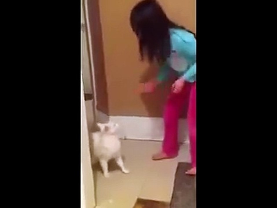 Laughing funny 111