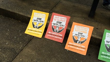 Une centaine d'opposants au Tafta à Guingamp