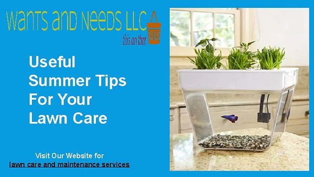 Lawn Care and Maintenance Services