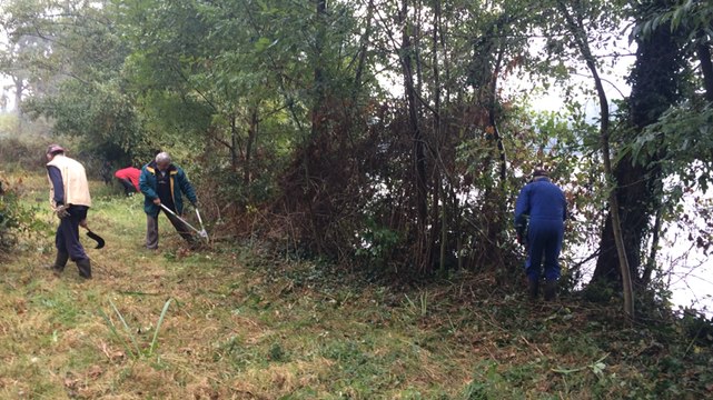 Nettoyage des rives de l'Erdre par le collectif Erdre pour tous