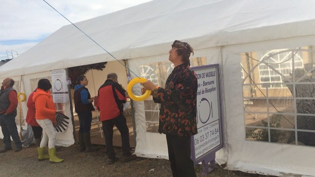 Démonstrations de cerfs-volants