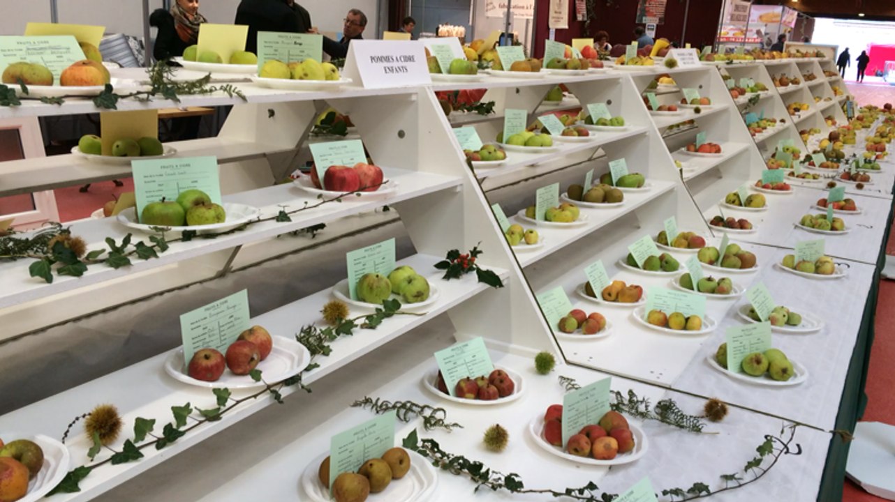 Concours pomologique, 74e foire de la pomme