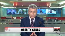 Scientists identify potential new target for treating obesity
