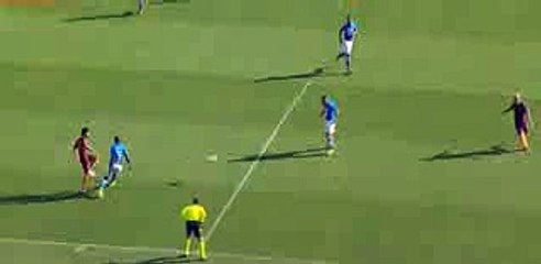 Edin Dzeko Goal - Napoli vs AS Roma 0-1