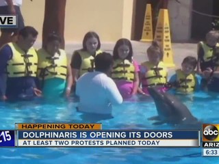 Protesters expected in the area as Dolphinaris opens Saturday