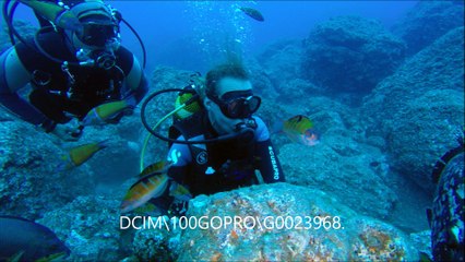 plongée a madére 2